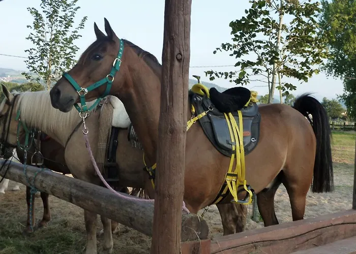 De Palacios Hotel San Miguel de Aras